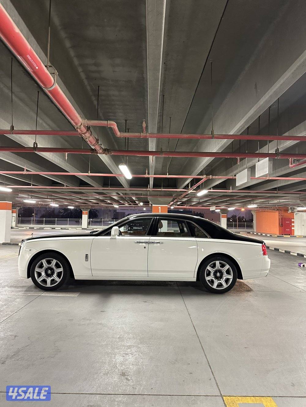 ‏روز رويس قوست1