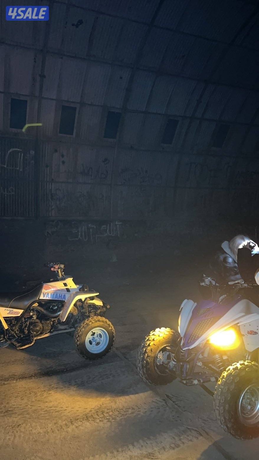 بانشي للبيع1