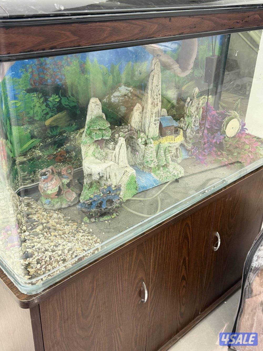 قابل للمساومه حوض سمك نظيف جداً0