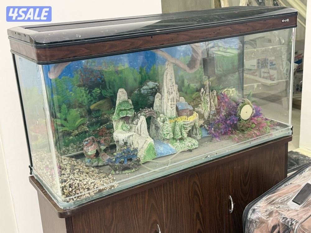 قابل للمساومه حوض سمك نظيف جداً2