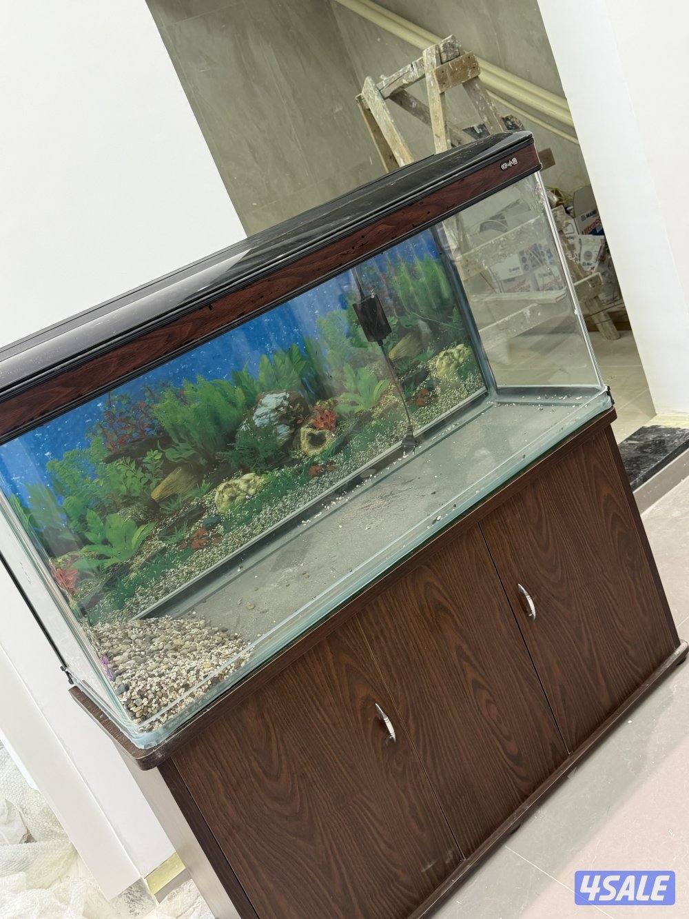 قابل للمساومه حوض سمك نظيف جداً3