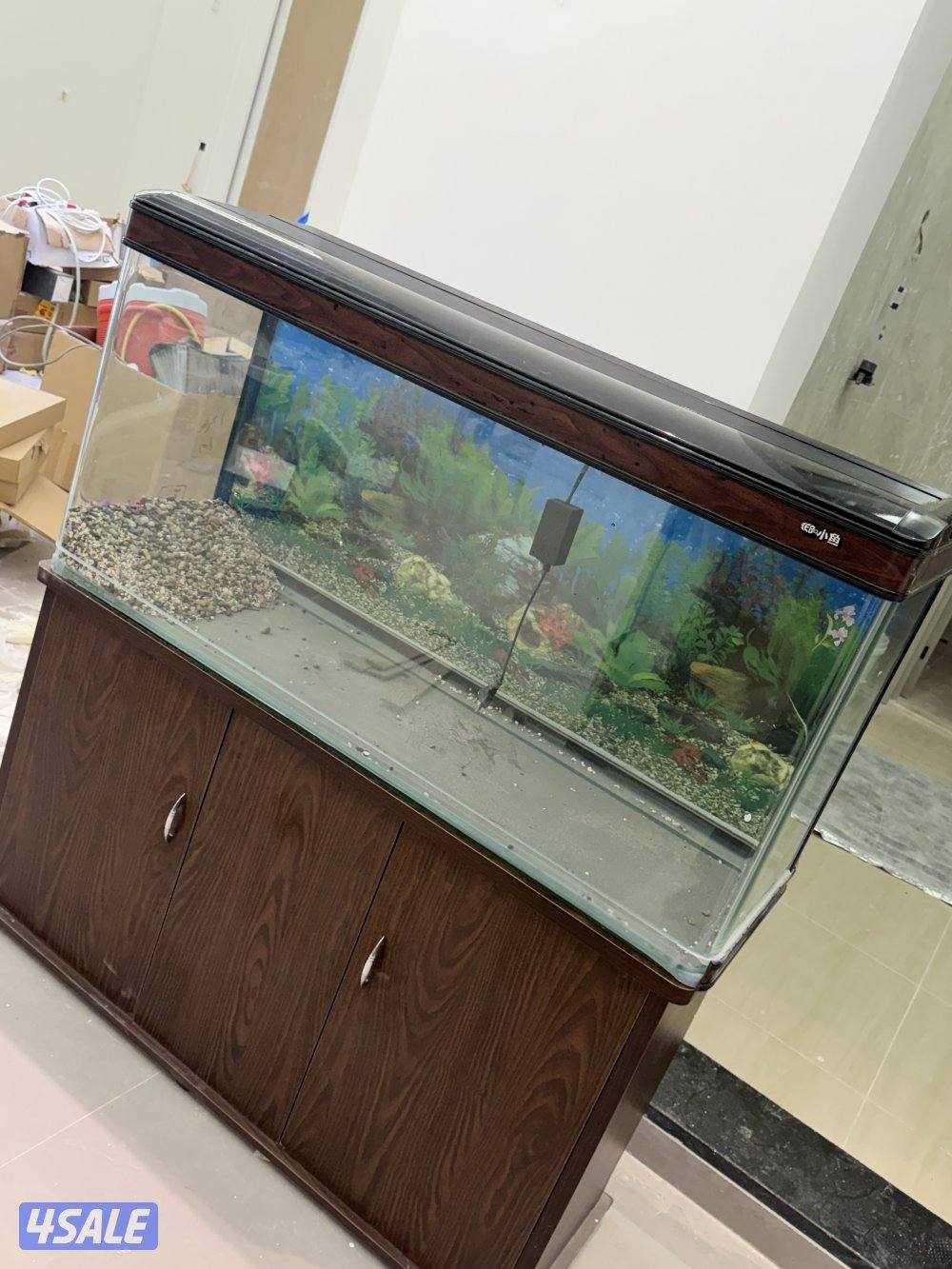 قابل للمساومه حوض سمك نظيف جداً4