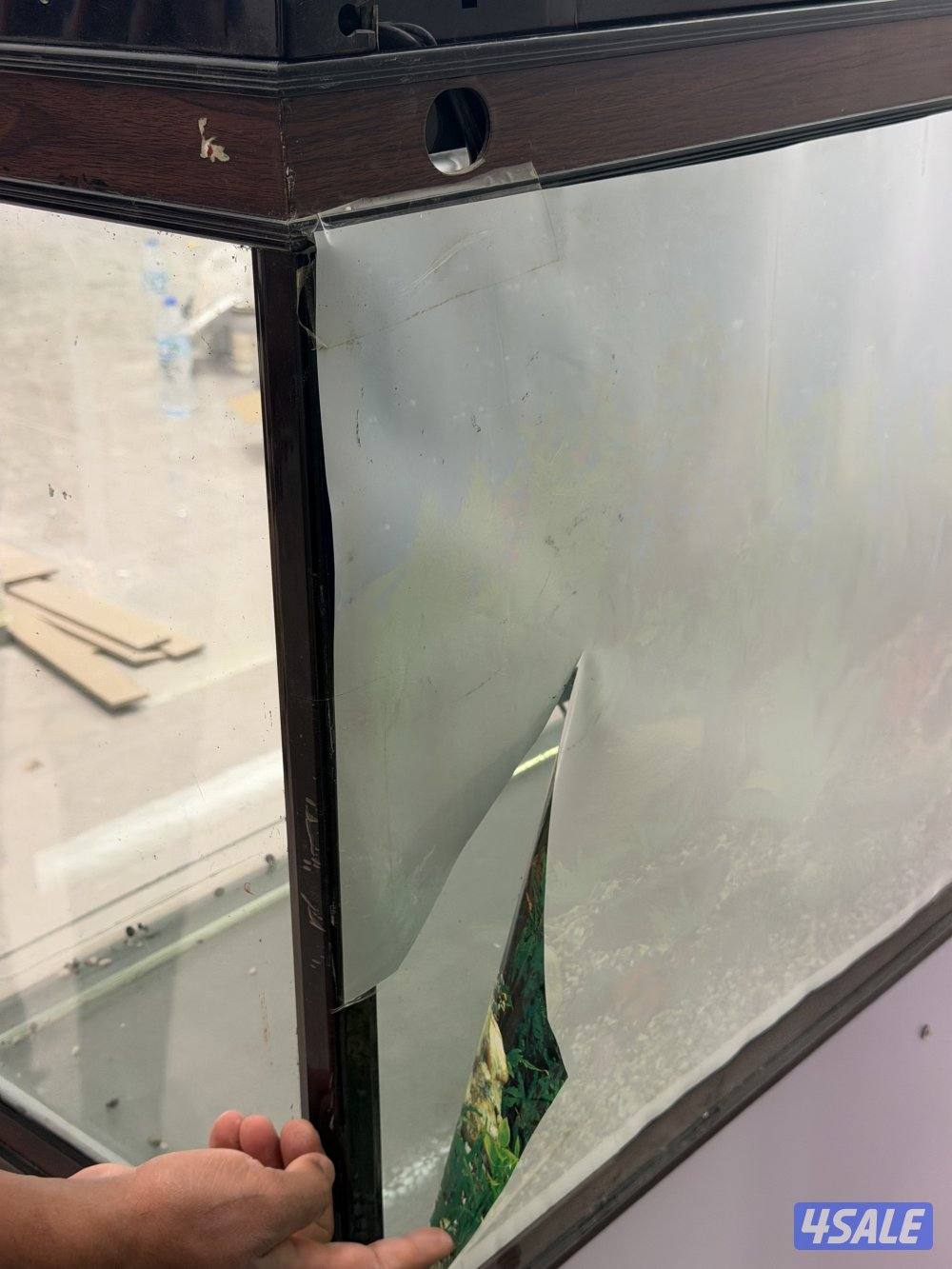 قابل للمساومه حوض سمك نظيف جداً8