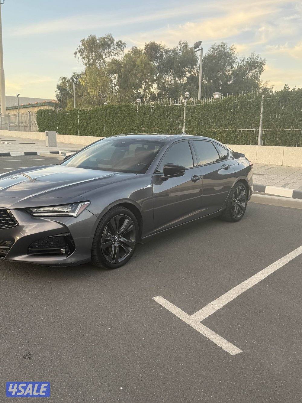 أكيورا tlx 20210
