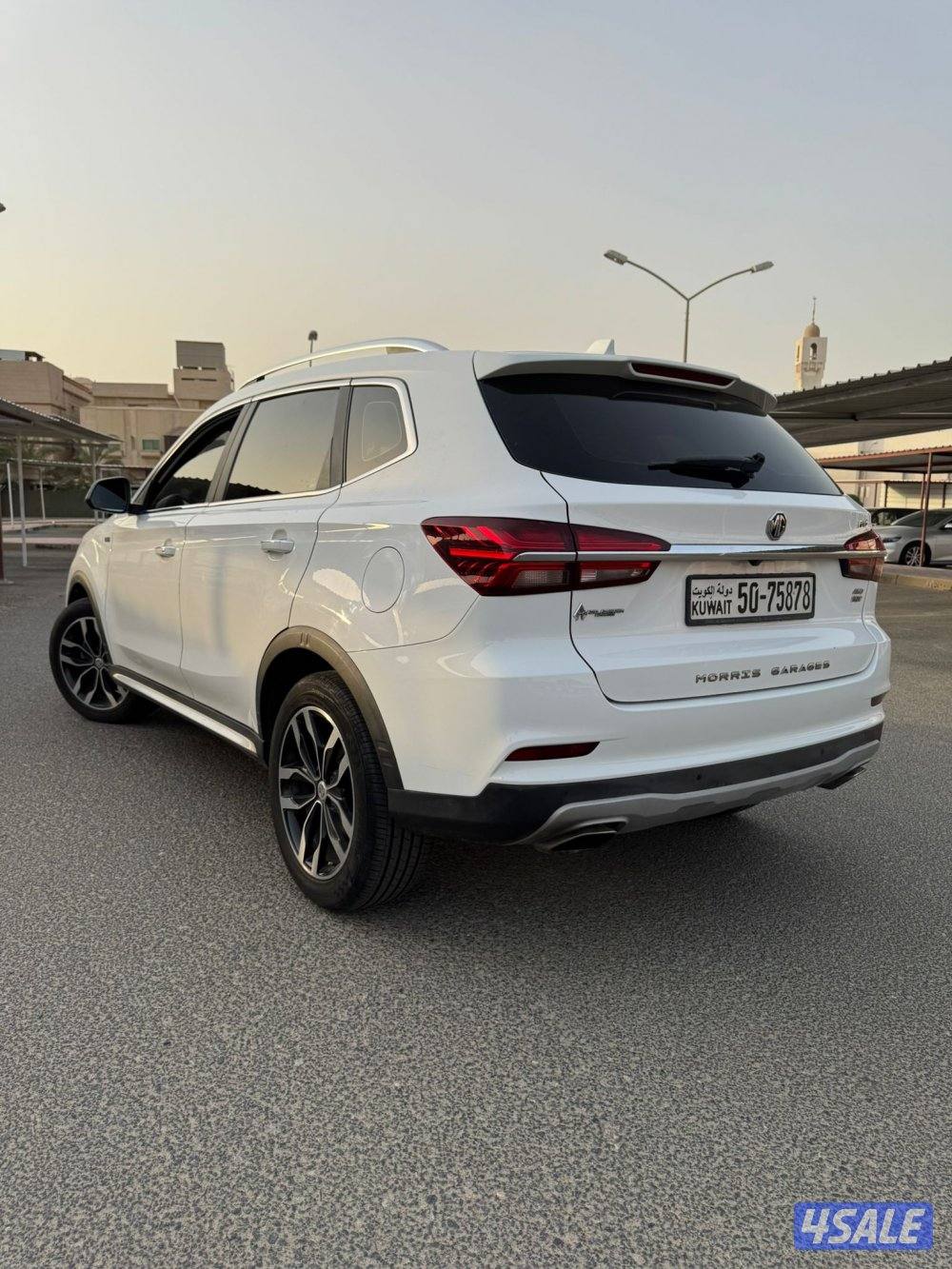 صبغ الوكالة 20191