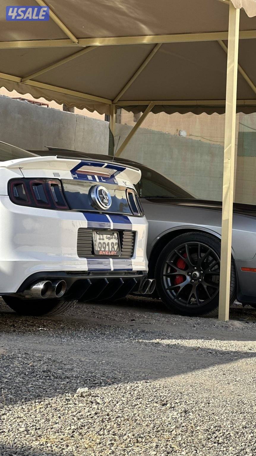 موستنق 2010 سوبر جارج0