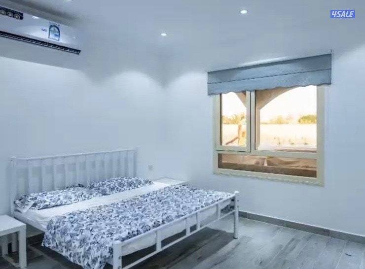 مزرعه للإيجار6