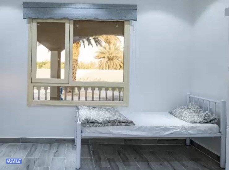 مزرعه للإيجار8