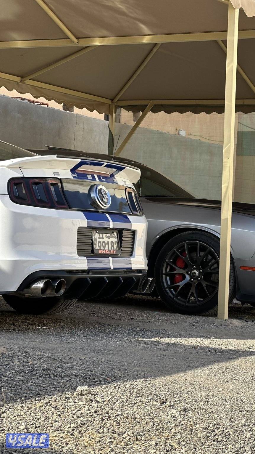 موستنق سوبر جارج3