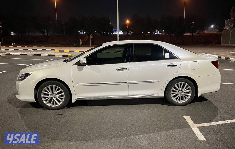 الفحص مع الصور15