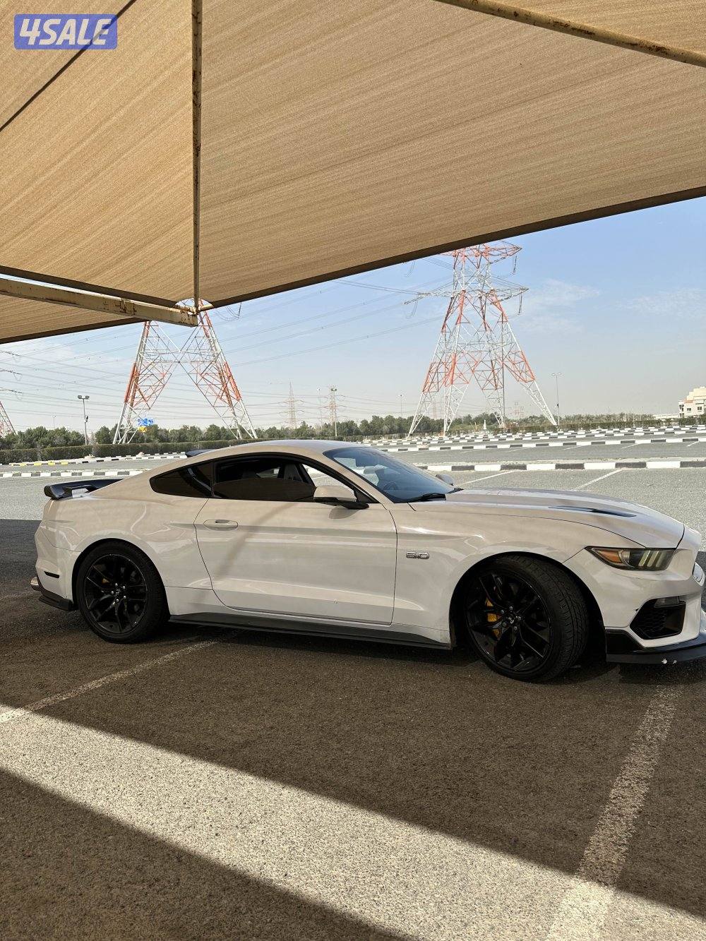 موستنق قير عادي 20152