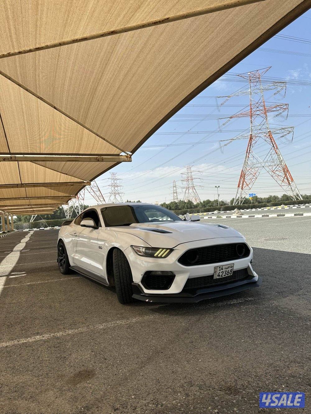 موستنق قير عادي 201511