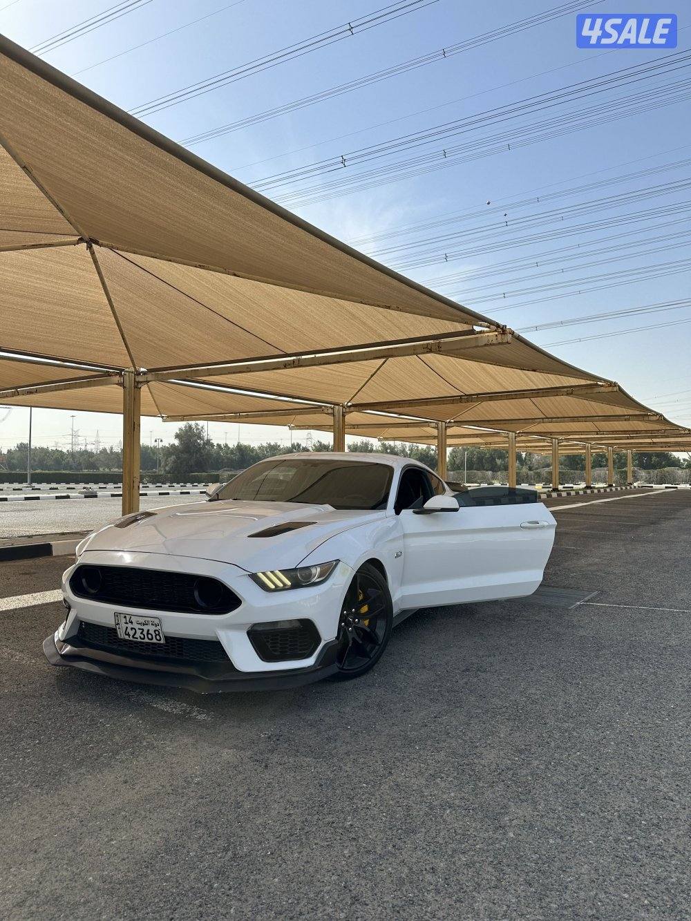 موستنق قير عادي 201513