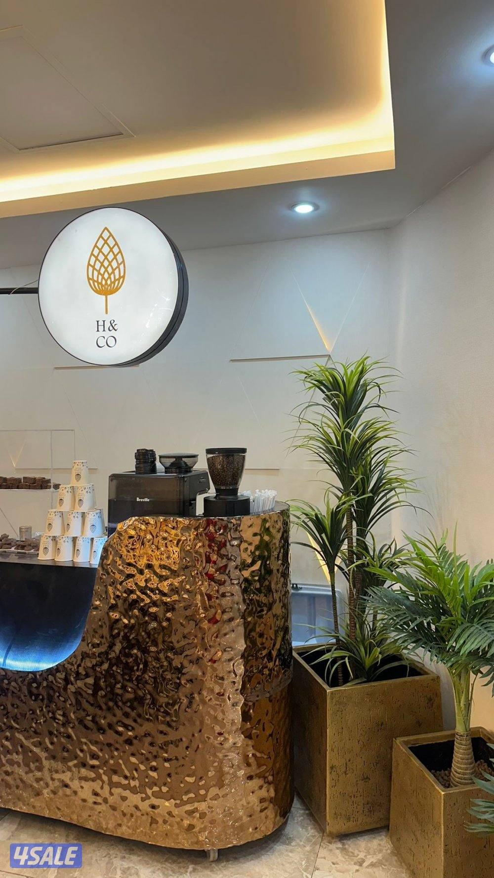 كاترنق للابيع1