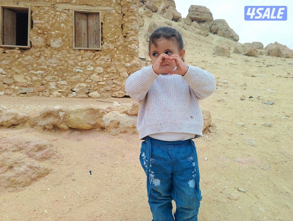 مدرس قانون ولغة عربية وشريعة اسلامية للجامعات والمعاهد3