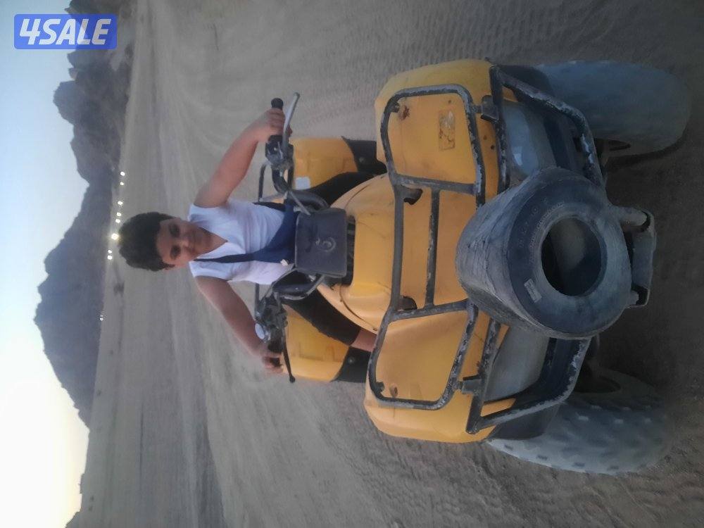 مدرس قانون ولغة عربية وشريعة اسلامية للجامعات والمعاهد11