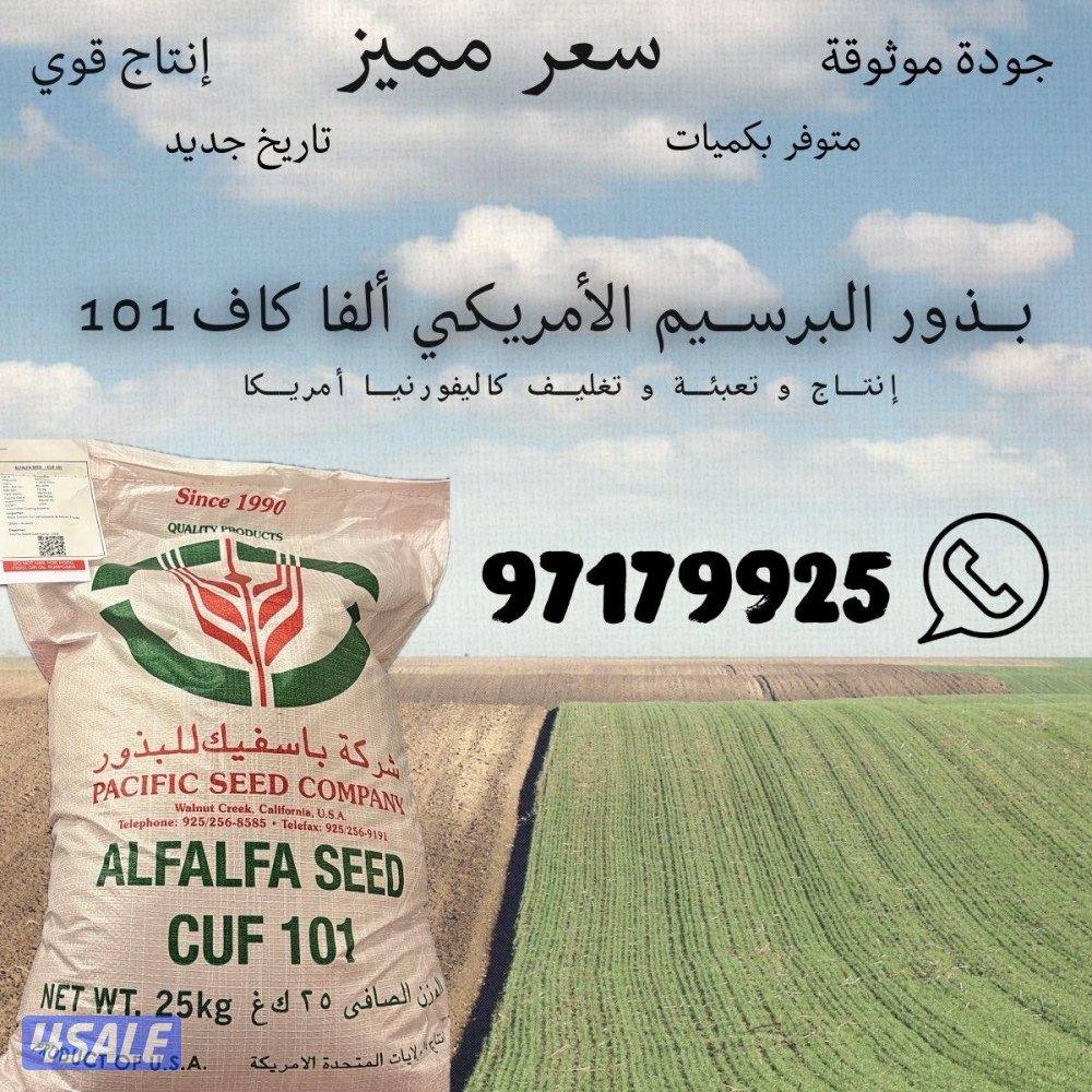 بذور برسيم باسيفيك كاف ١٠١0