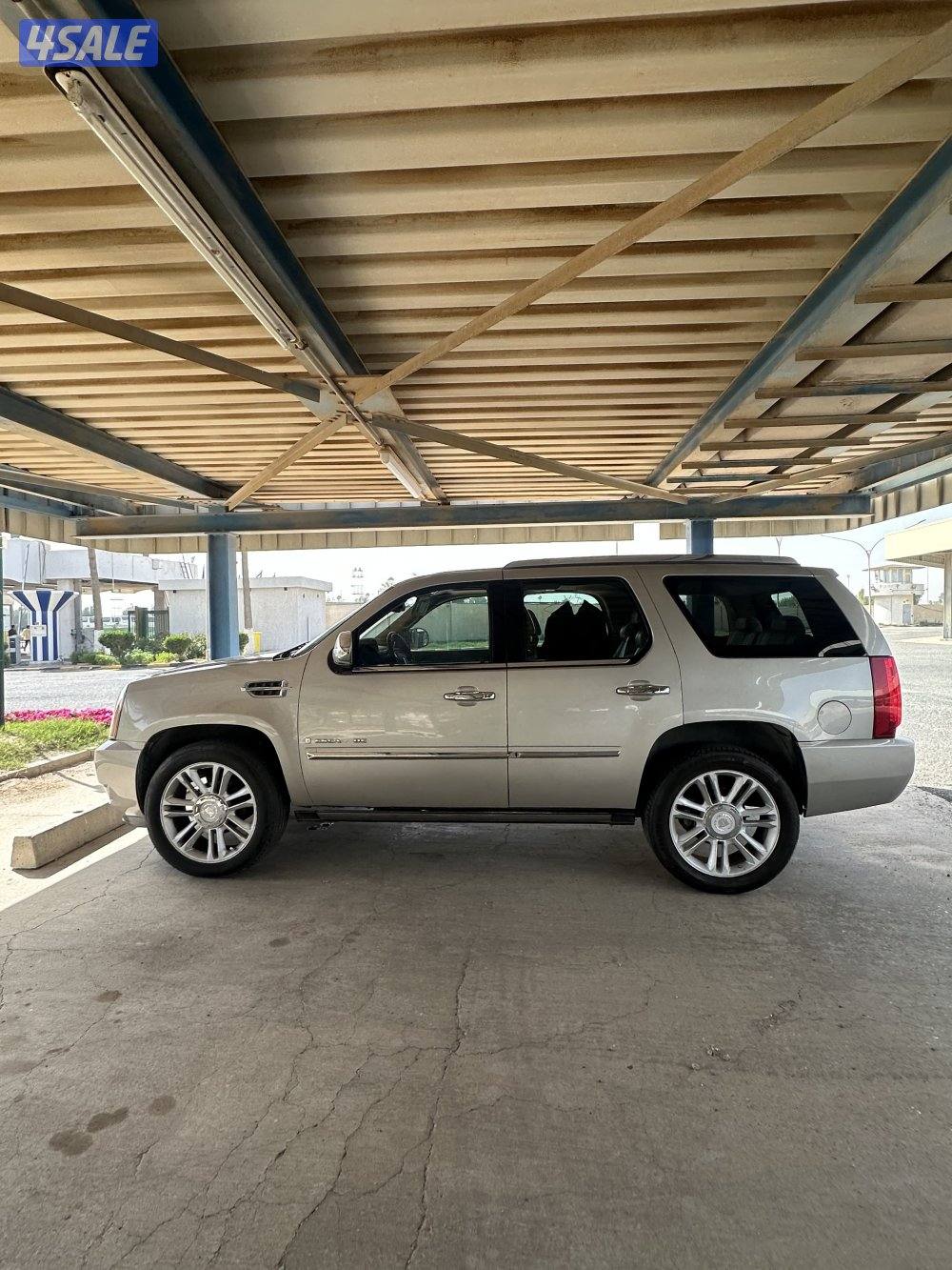 سكلد  بيعه سريعه ٢٠٠٨1