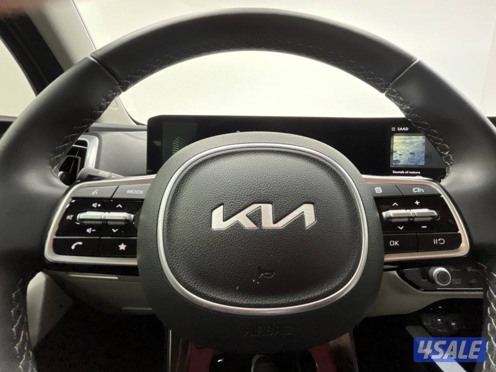 KIA SORENTO Kia KIA SORENTO 20247