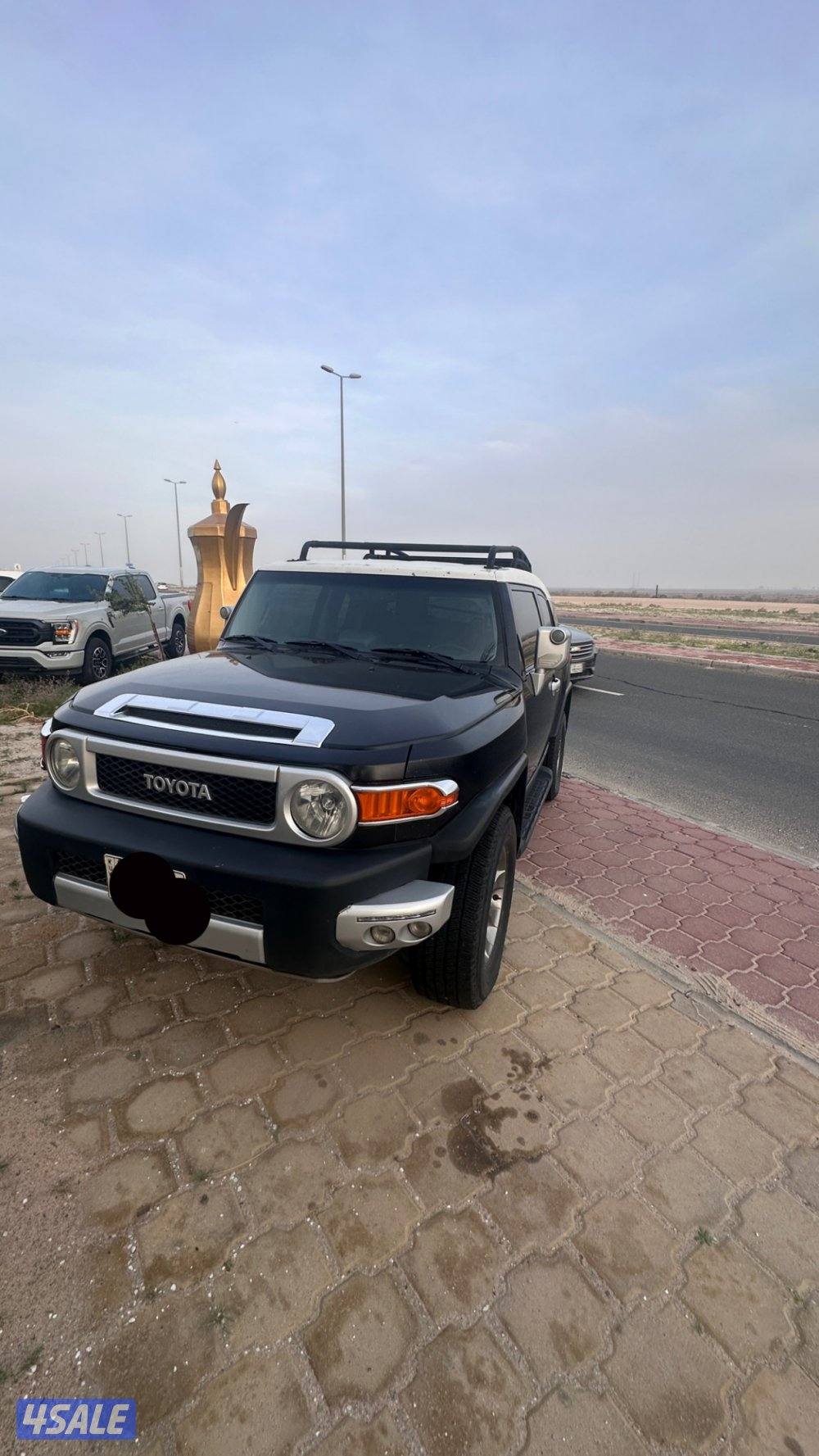 اف جي ٢٠١٢ صبغ وكالة6