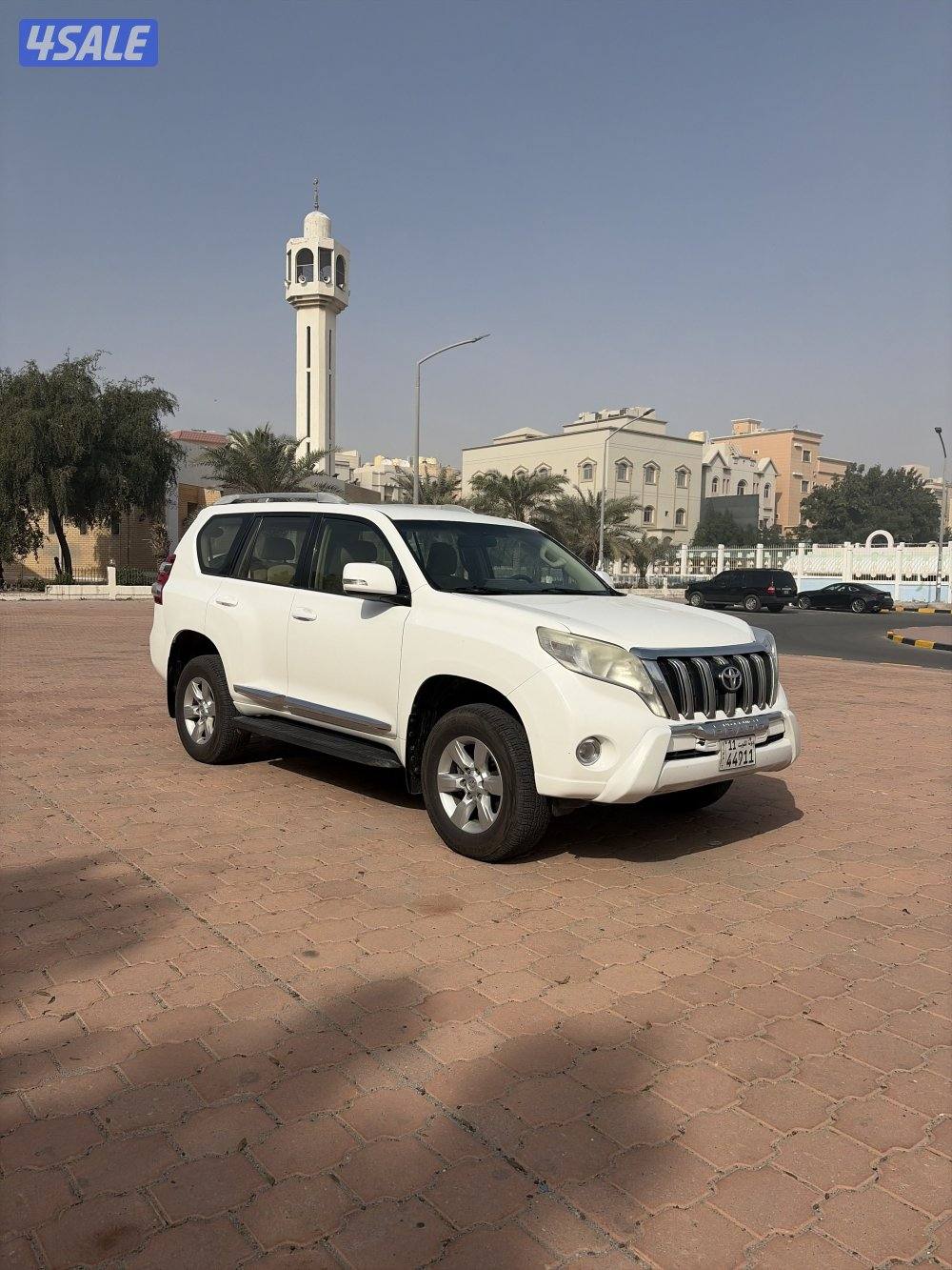 الفحص بالصور1