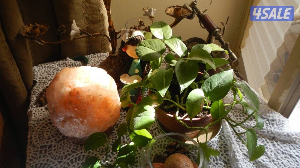 كاميرا نيكون فول اتش دي شاشه OLED شبه جديده فيديو تشكيله كميرات2