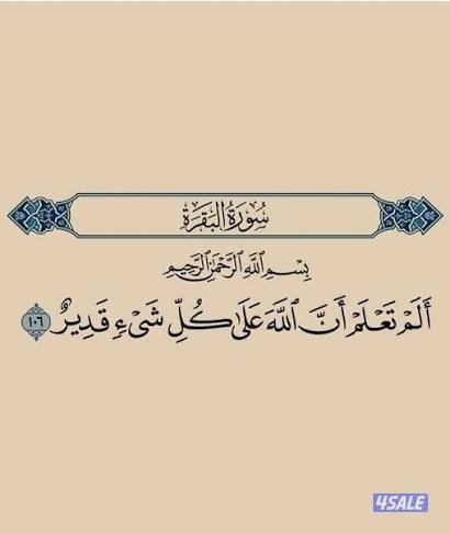 بيت دورين فهد الأحمد حكومه بحاله جيده0