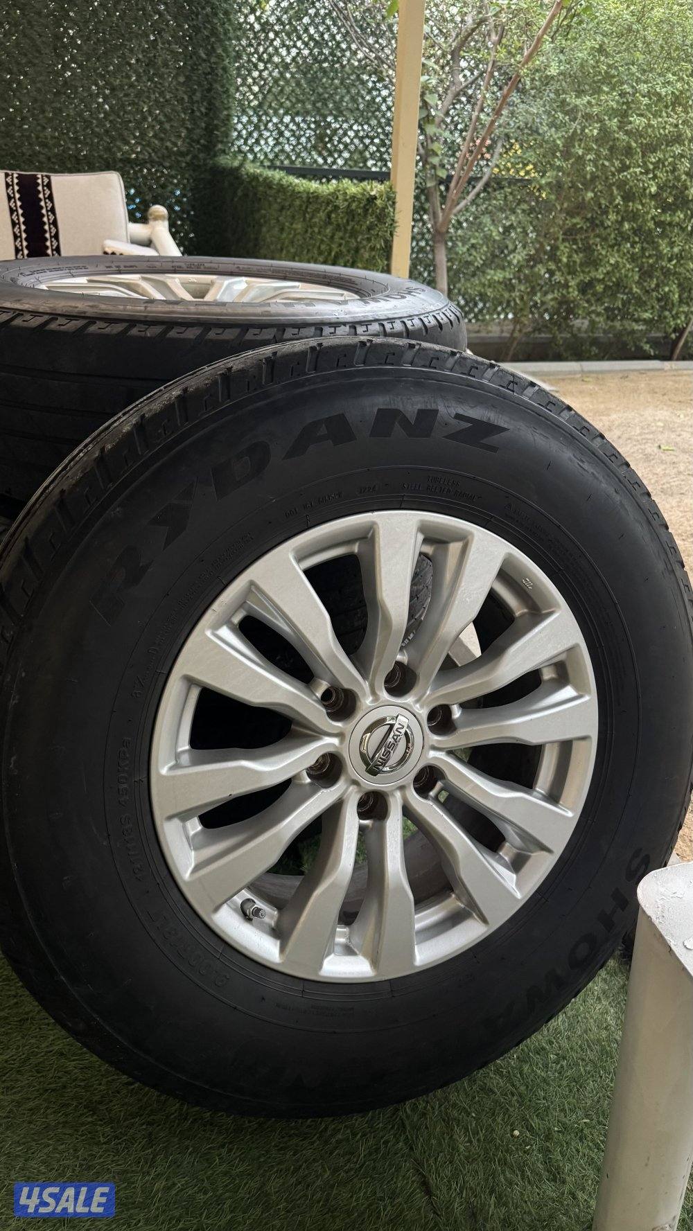 رنقات وشواهين١٨0