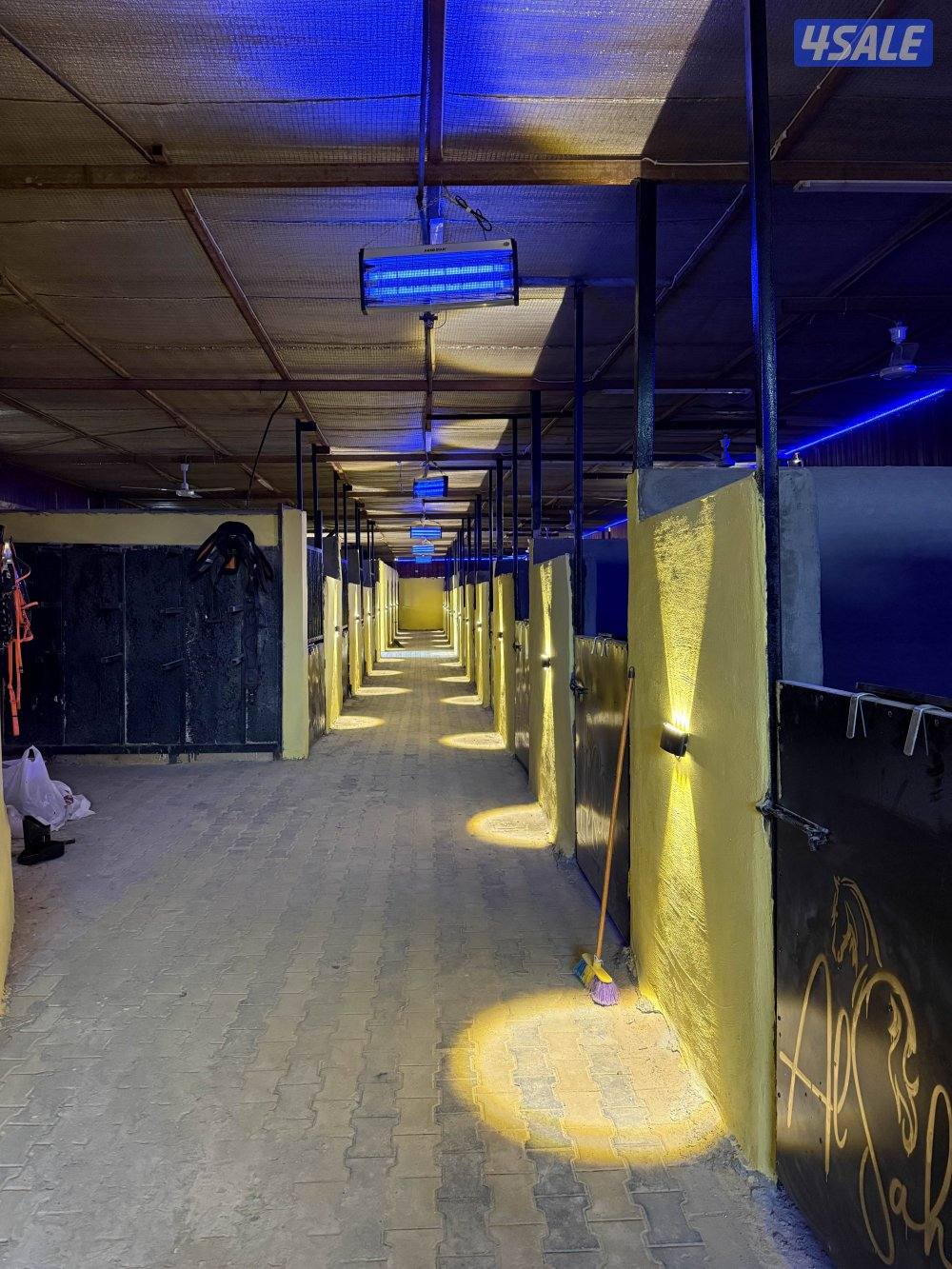 مربط السَحر لإيواء الخيل مقابل الخطه ق١٣ على الشارع0