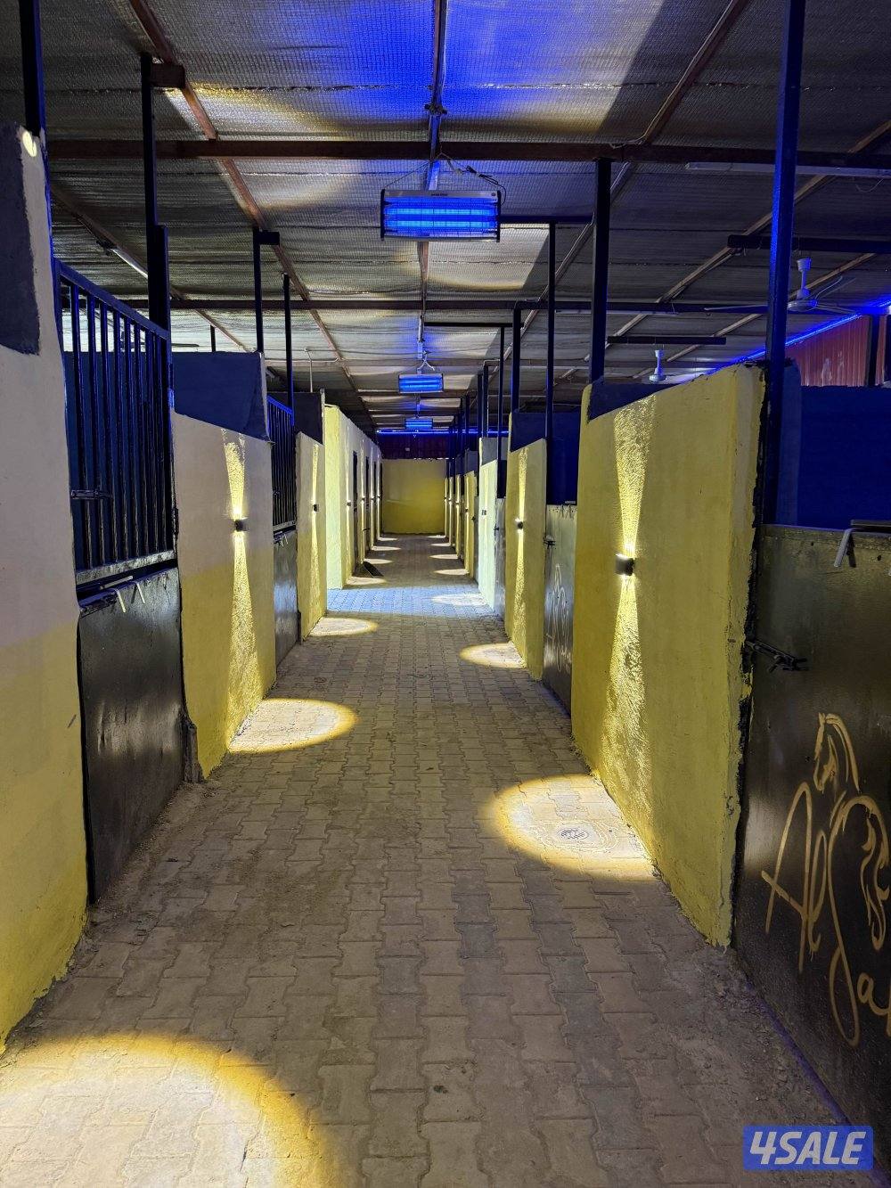 مربط السَحر لإيواء الخيل مقابل الخطه ق١٣ على الشارع1