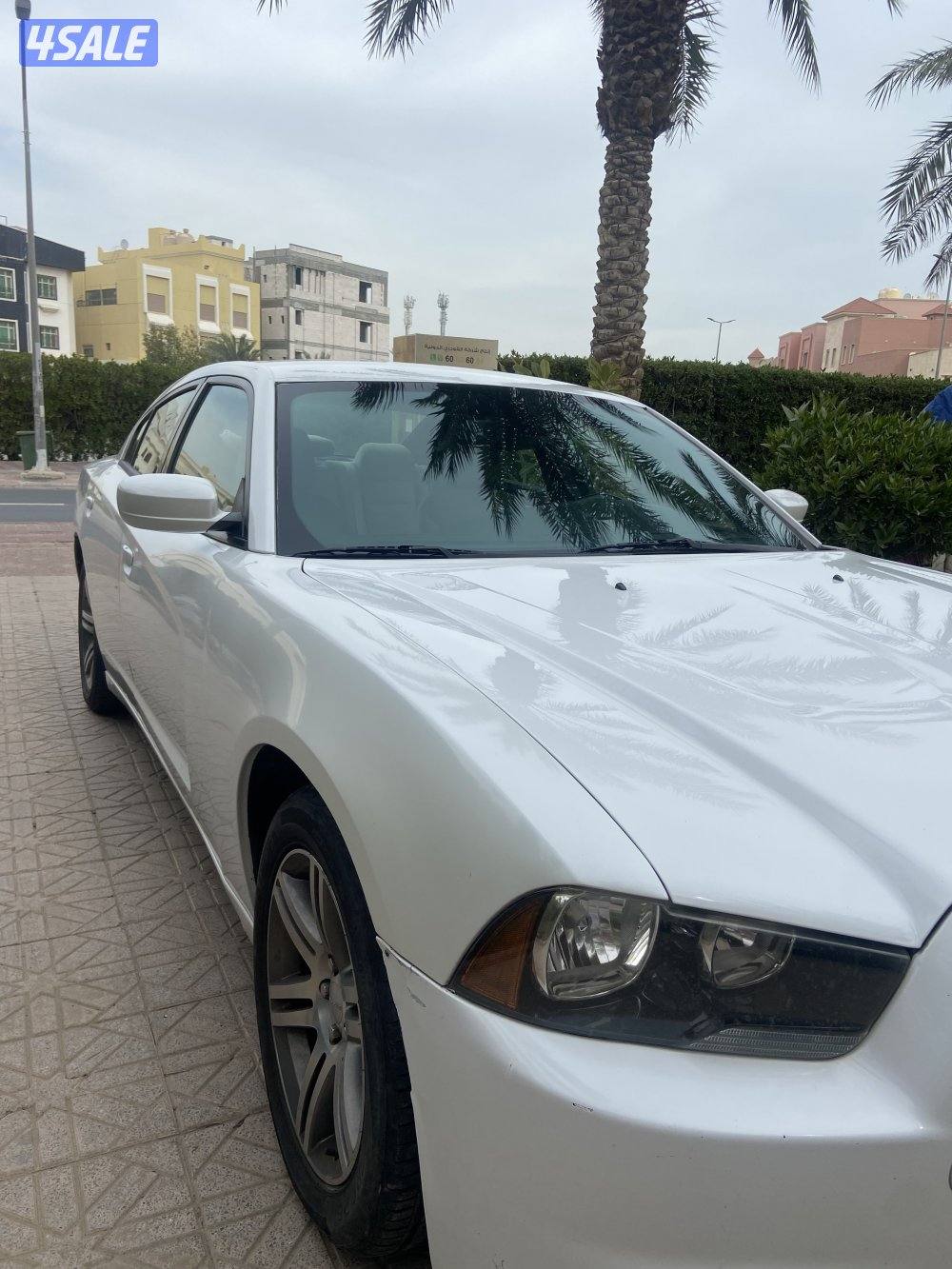 دوج تشاجر ٢٠١٣1