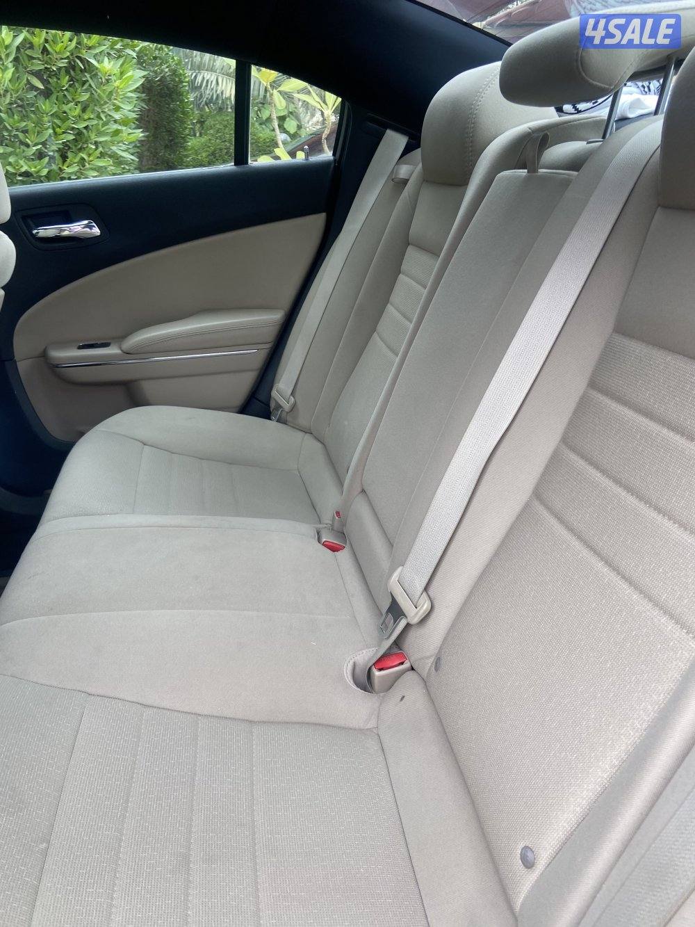 دوج تشاجر ٢٠١٣3