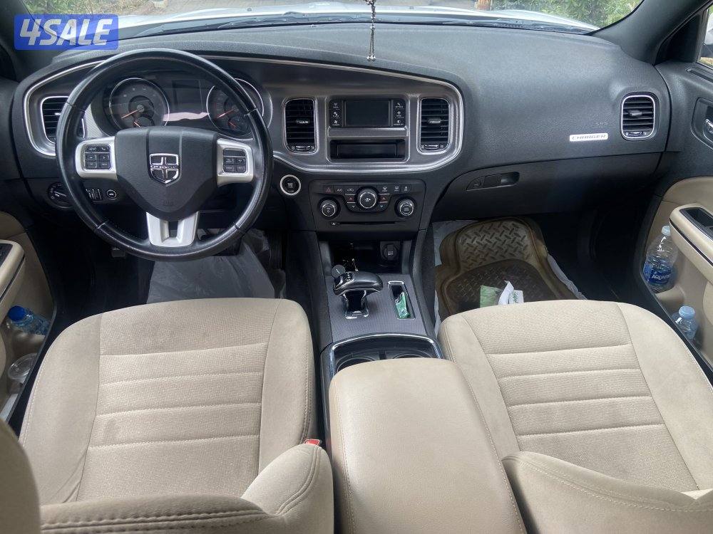 دوج تشاجر ٢٠١٣4