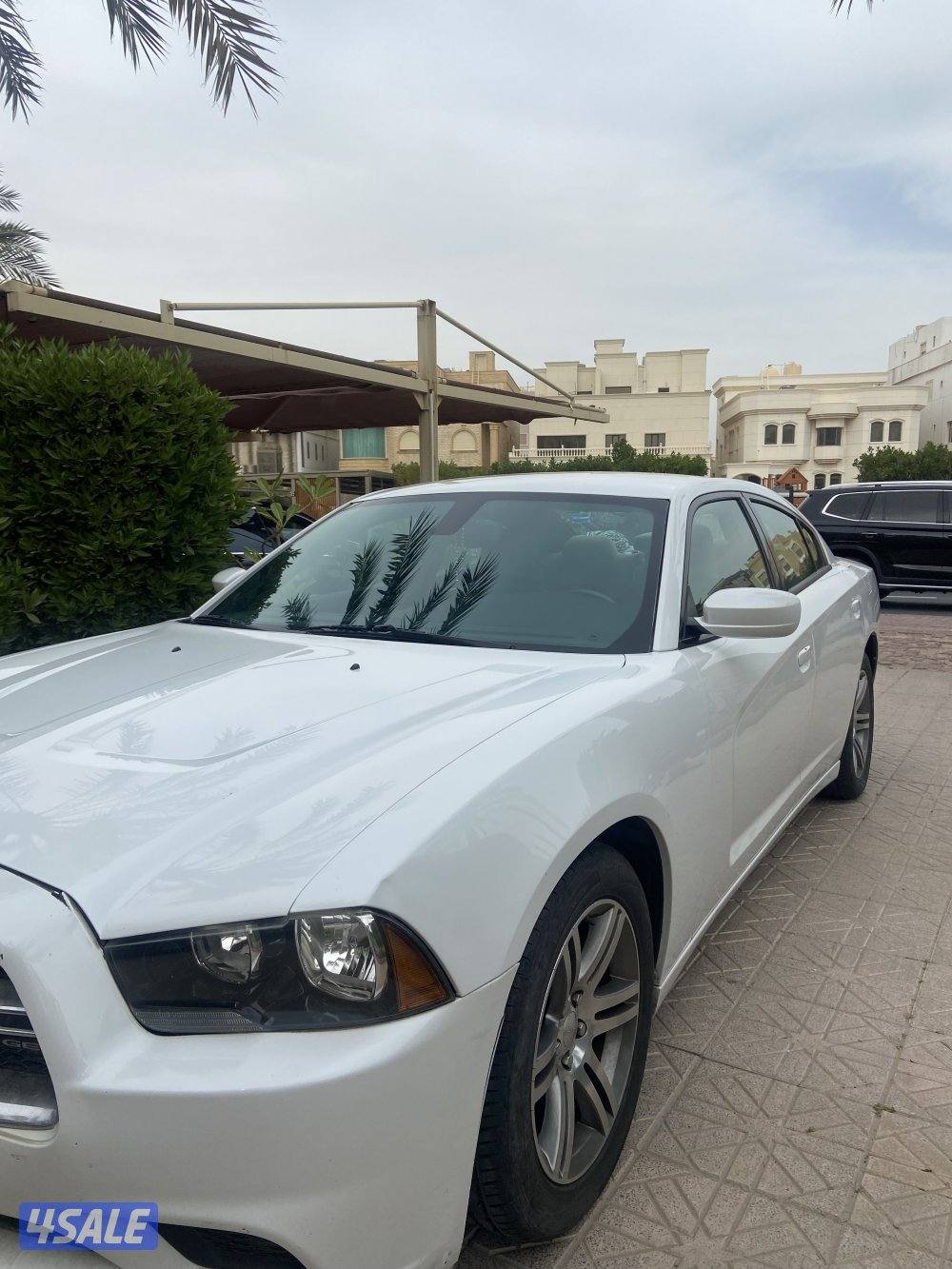 دوج تشاجر ٢٠١٣5