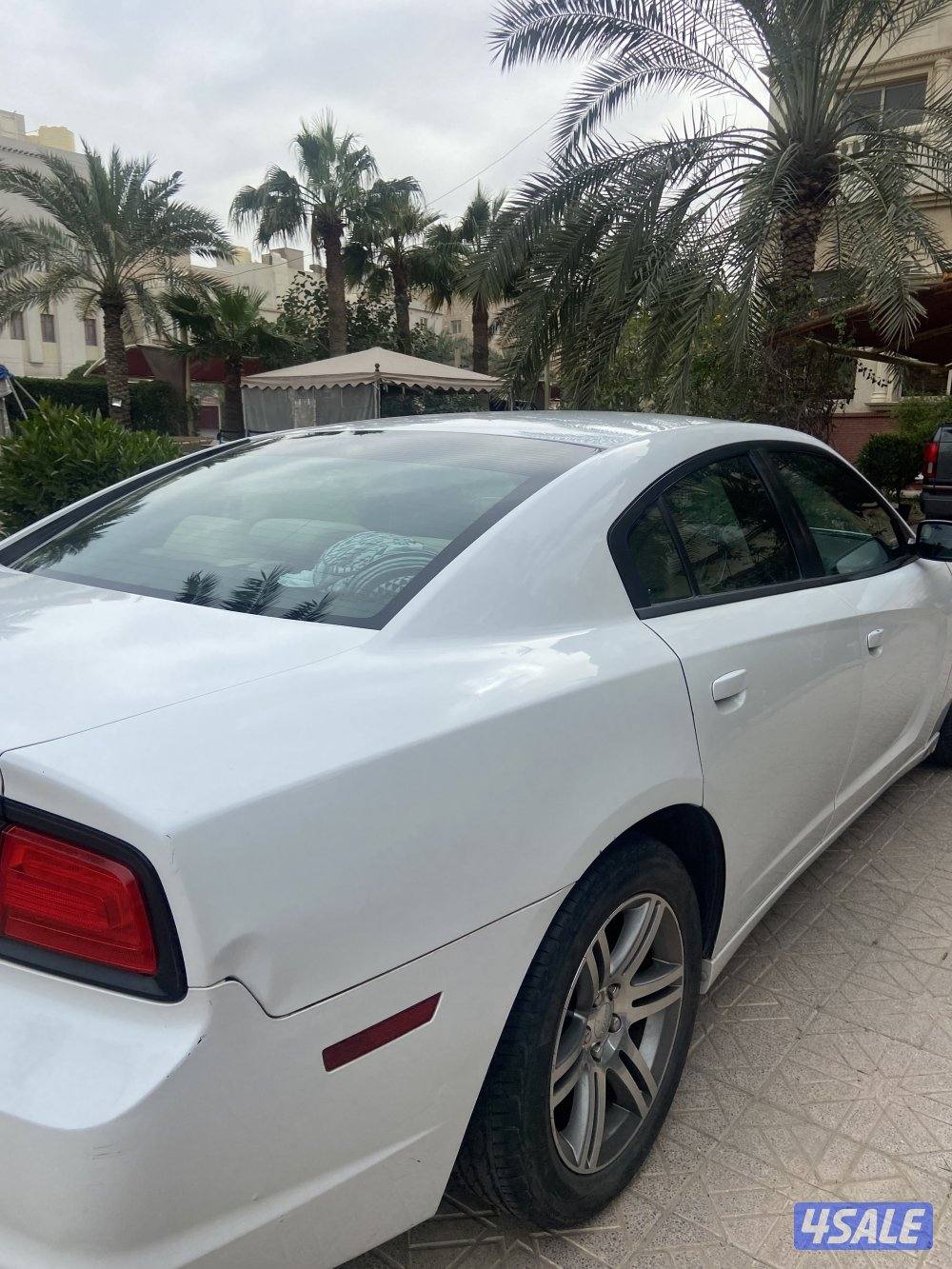 دوج تشاجر ٢٠١٣6