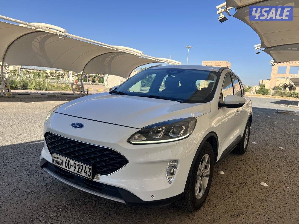 فورد اسكيب 2022 صبغ الوكالة4