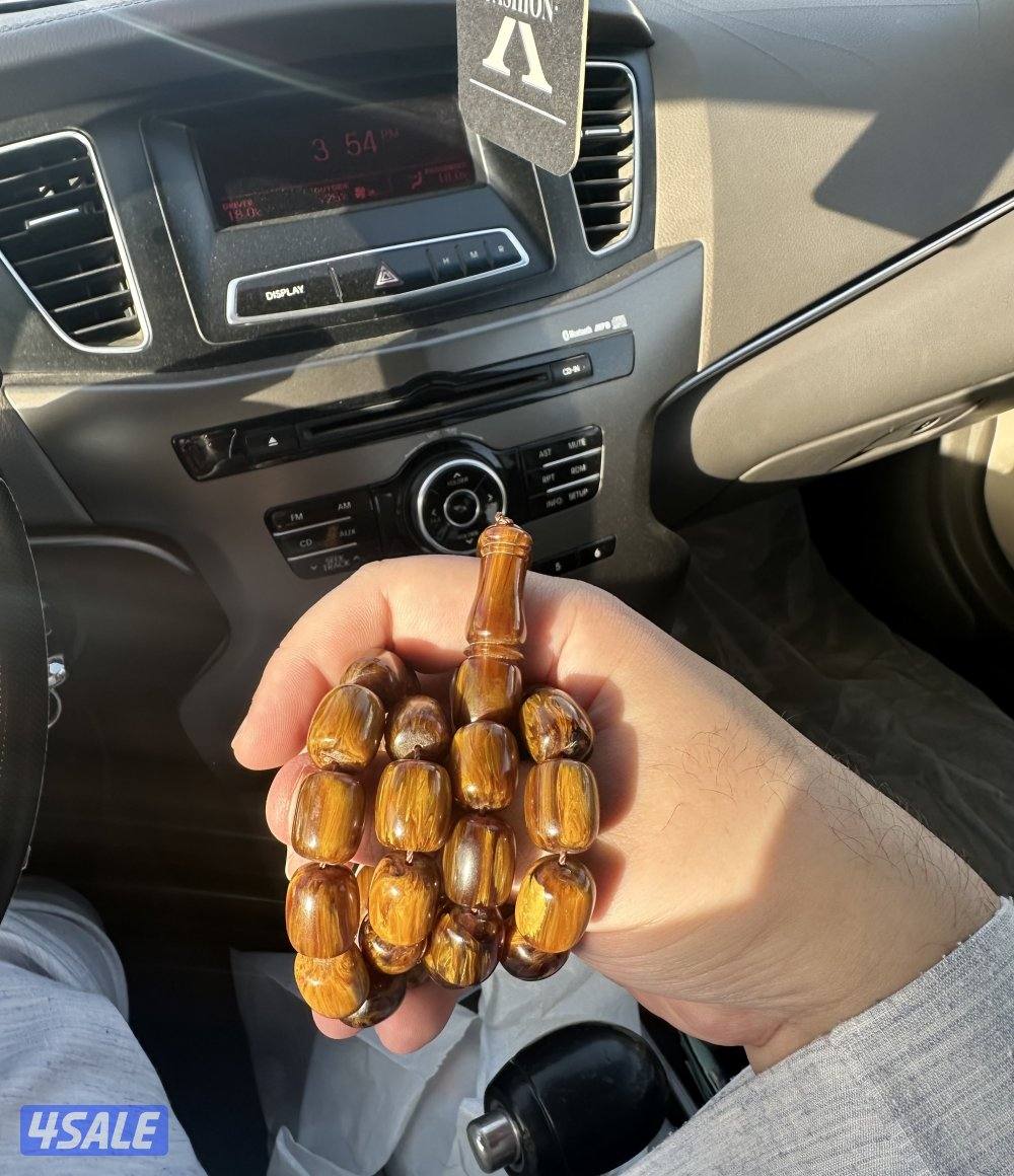 فاتوران ضبعة2