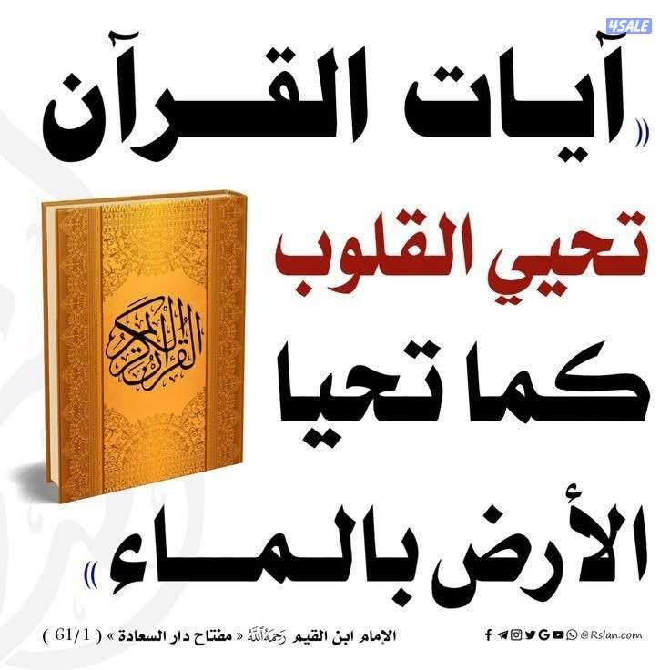 للايجار شقه فى الرقه غرفتان و٢ حمام ارضيه سنترال0