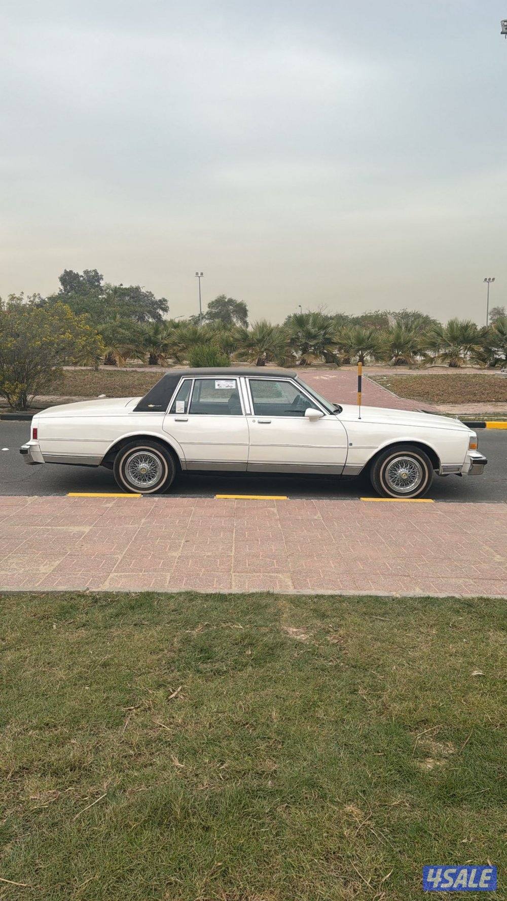 كابرس ١٩٨٧0