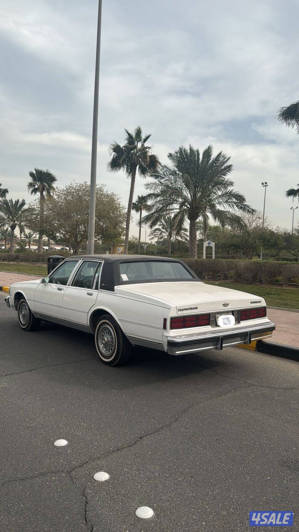 كابرس ١٩٨٧5