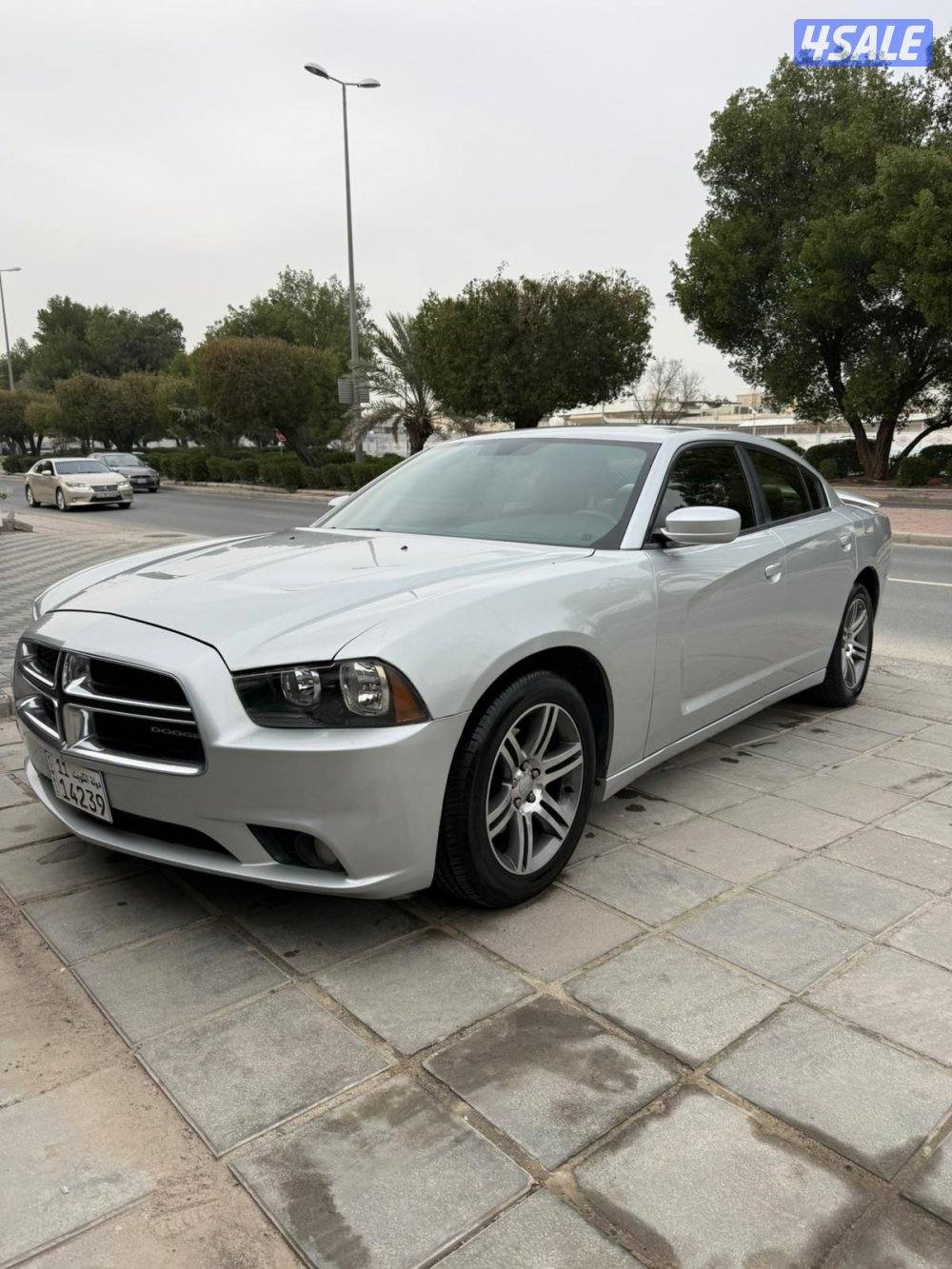 صبغ الوكالة مالك اول 6 سلندر0