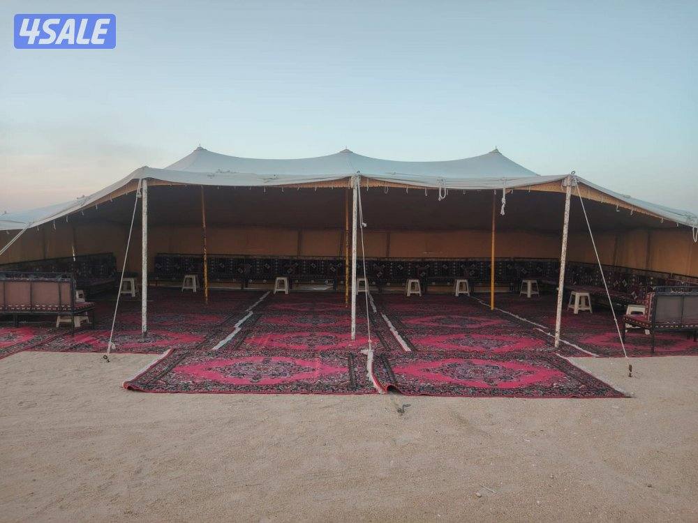 الفرعونيه14