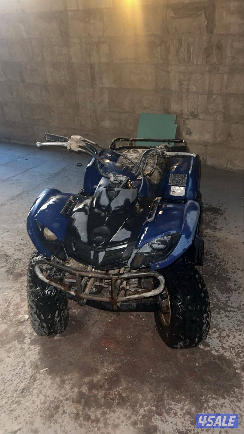 بقي قرزلي يامها ٨٠0