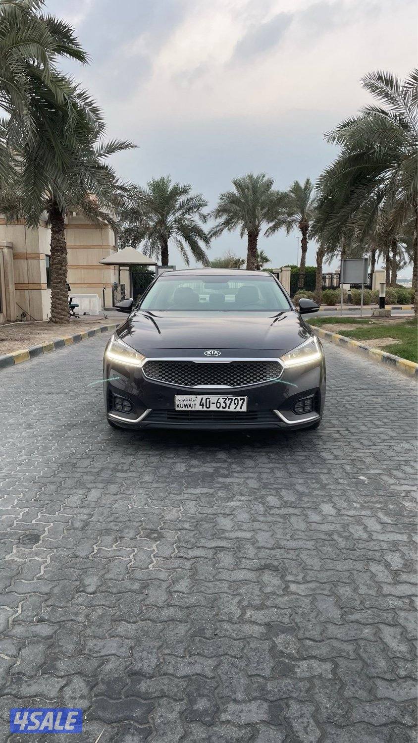 للمعاينة العارضية الحرفية1