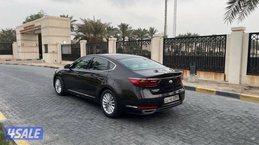 للمعاينة العارضية الحرفية3