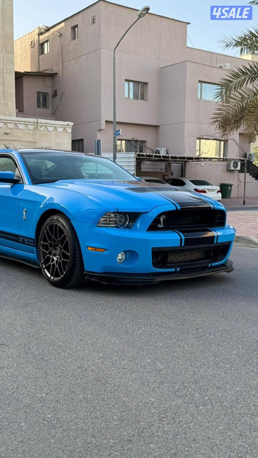 شلبي 500 صبغ الوكاله 20135