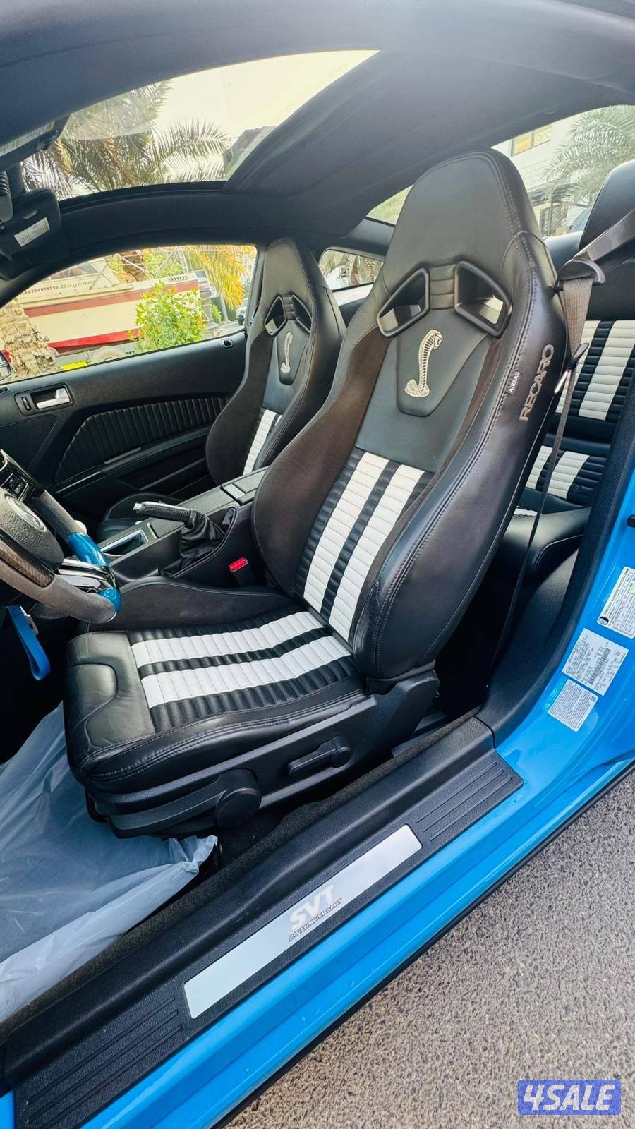 شلبي 500 صبغ الوكاله 20138