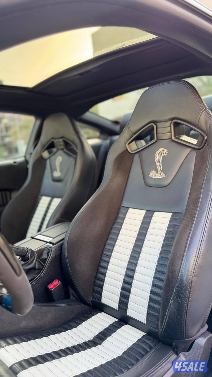 شلبي 500 صبغ الوكاله 20139