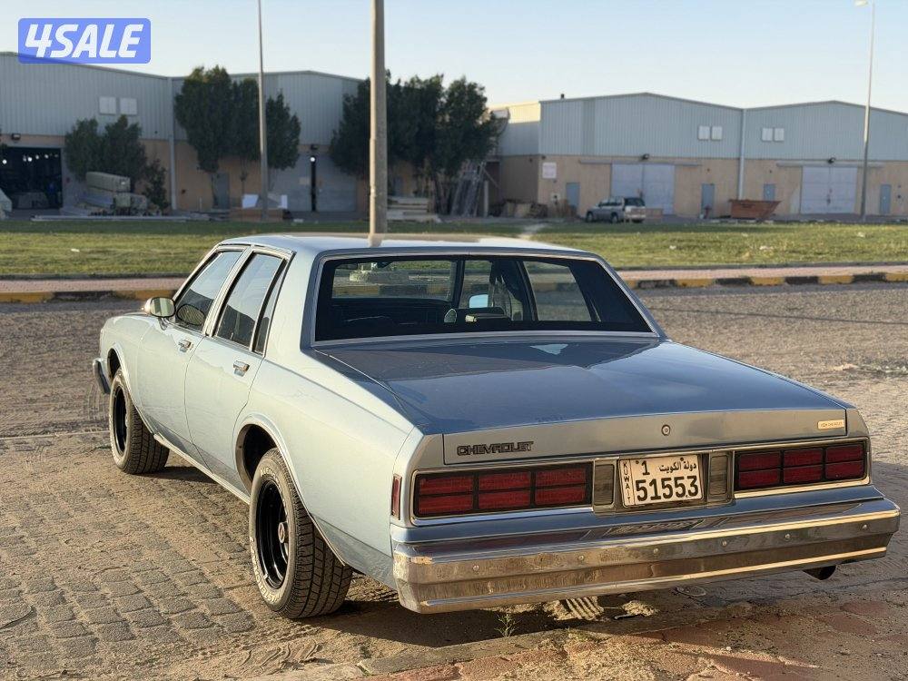 شفر كابرس 19901