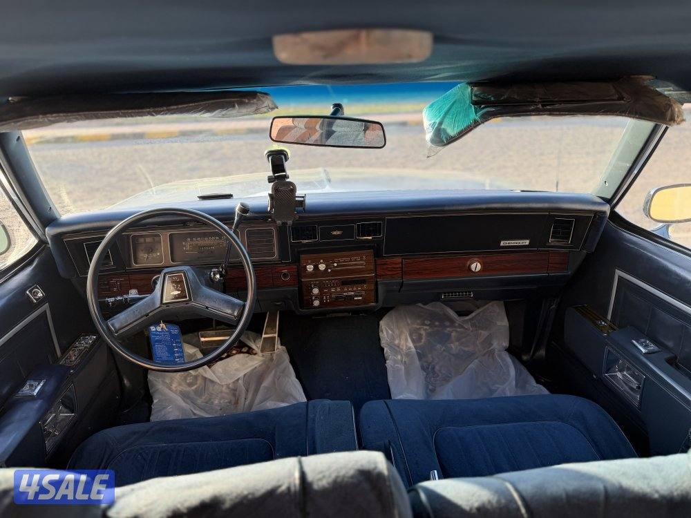 شفر كابرس 19903